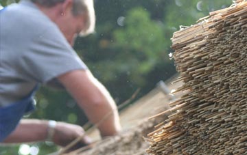 professional Camptown thatchers