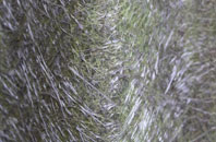 Camptown fibreglass roof work